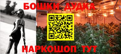 крисы Обь