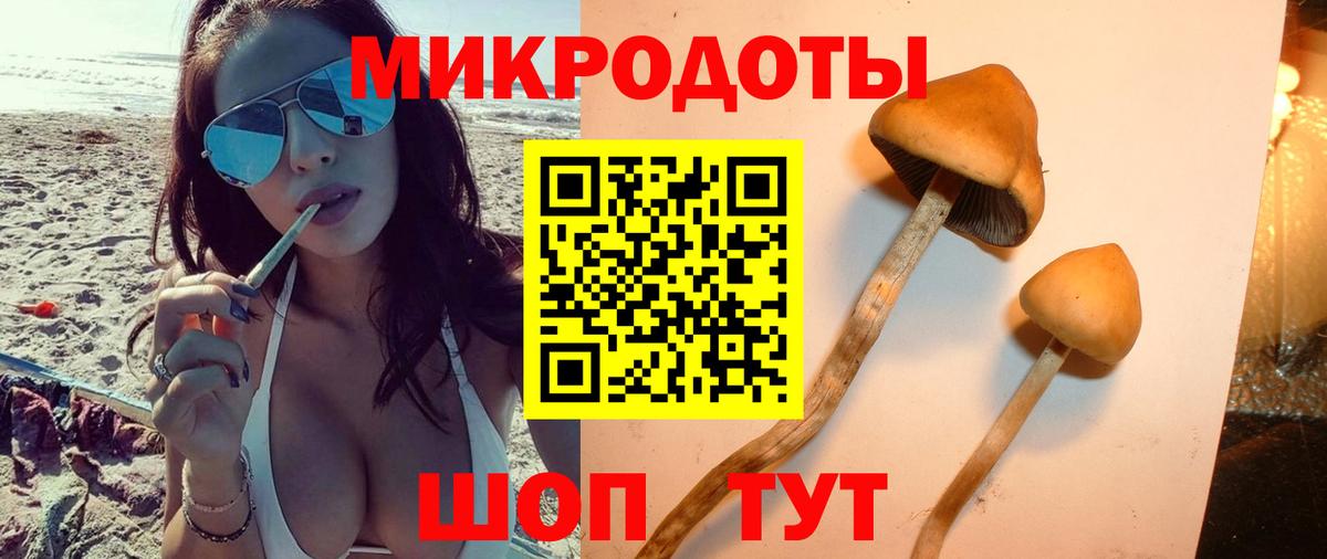 Ростов Великий  Псилоцибиновые грибы прущие грибы  Вход с VPN  Галлюциногенные грибы Psilocybine cubensis 